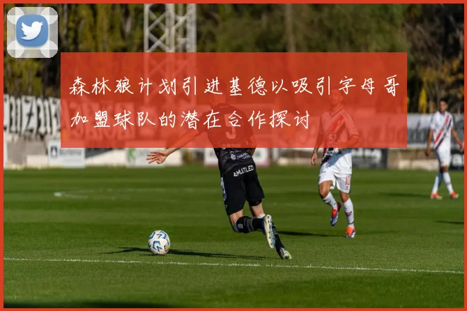 森林狼计划引进基德以吸引字母哥加盟球队的潜在合作探讨